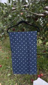 Bluebell Polka Dot Modal
