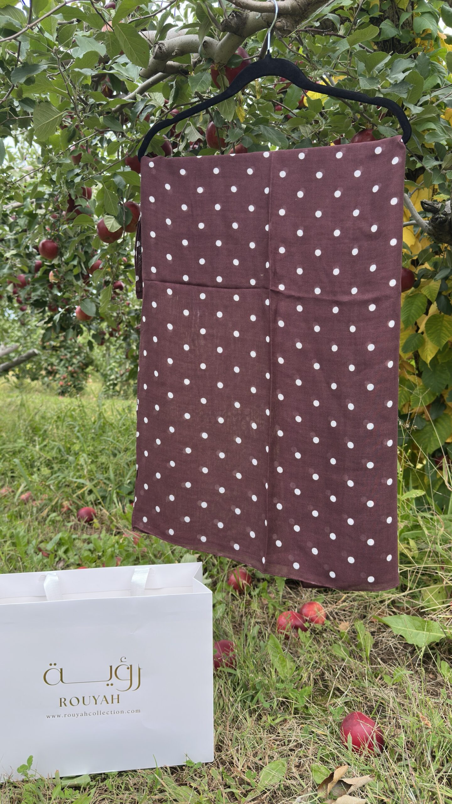 Mahogany Petite Polka Dot